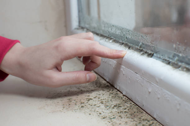 Best Mold Prevention Services  in Emporia, KS