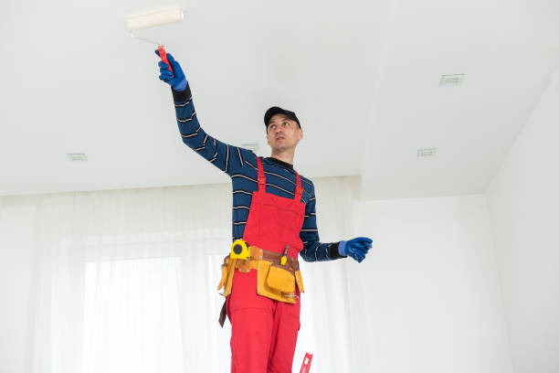 Mold Documentation for Insurance Claims in Emporia, KS