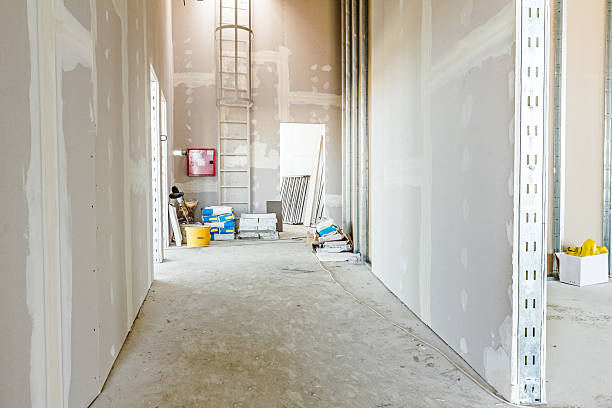 Best Mold-Related Health Consultation  in Emporia, KS